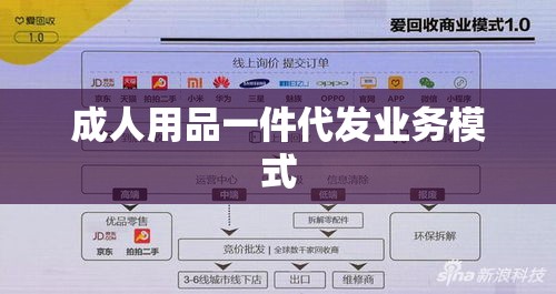 成人用品一件代发业务模式与运营策略深度探讨  第1张