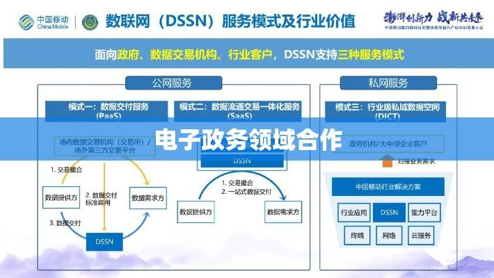 WSSB2与SZSI在电子政务领域的合作与发展展望  第1张