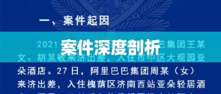 11.15案件深度剖析，挑战与启示  第1张