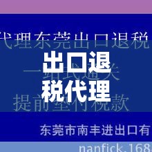 出口退税代理公司，助力企业国际化发展的伙伴  第1张