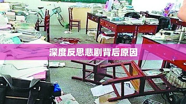 学生杀害老师事件，深度反思背后的悲剧  第1张