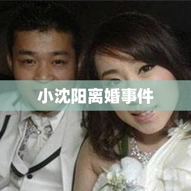 小沈阳离婚事件，娱乐圈的焦点引发深度反思  第1张