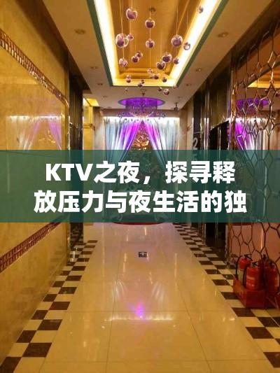 KTV之夜，探寻释放压力与夜生活的独特魅力  第1张