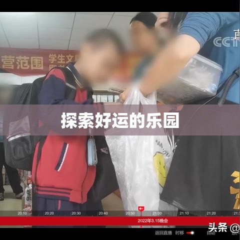 淘宝抽奖活动，探索好运的乐园之旅  第1张