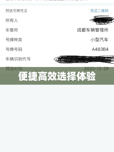 成都网上选车牌号，便捷高效的新时代选择体验  第1张