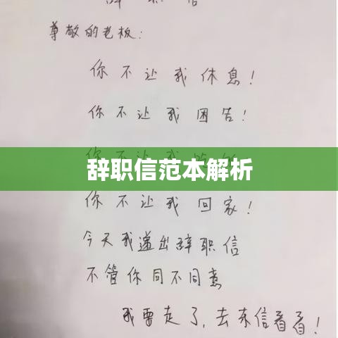 优雅职场告别指南，辞职信范本全解析  第1张