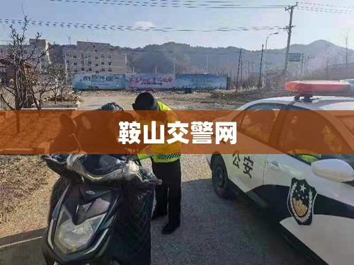 鞍山交警网违章查询，便捷高效服务新体验  第1张