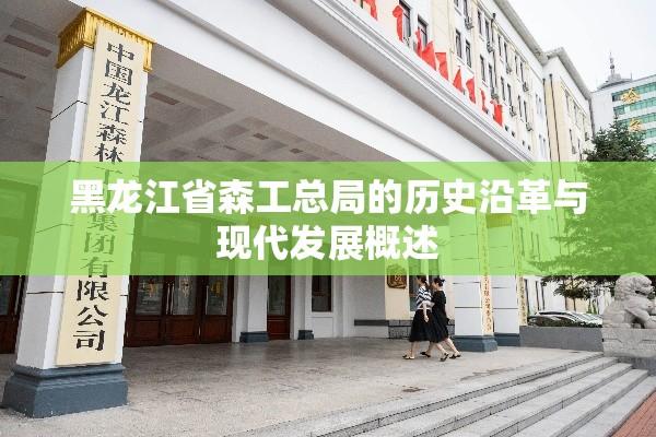 黑龙江省森工总局的历史沿革与现代发展概述  第1张