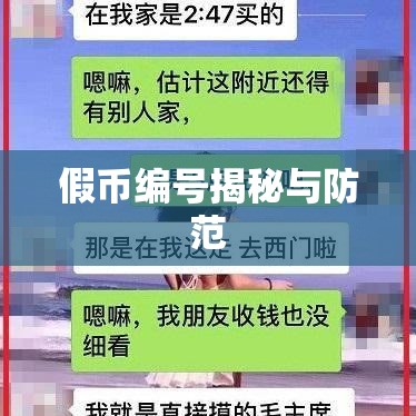 假币编号揭秘，防范与打击假币犯罪的双重策略  第1张