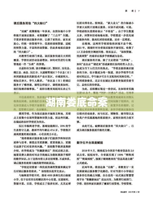 湖南娄底命案震惊社会，深度探究与反思  第1张