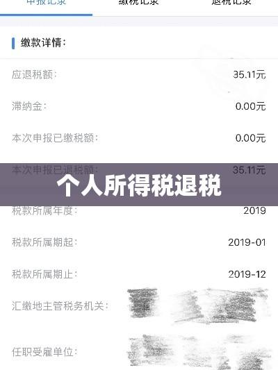 个人所得税退税详细指南，操作、条件与注意事项  第1张