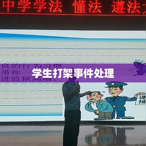 校园冲突解决之道，学生打架事件分析  第1张