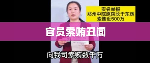 女总裁揭露官员索贿丑闻，揭开黑暗面纱的勇敢举报之路  第1张