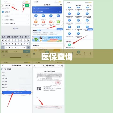 医保查询，便捷生活的关键技能  第1张