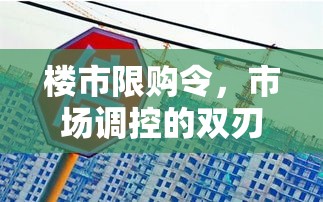 楼市限购令，市场调控的双刃剑效应  第1张