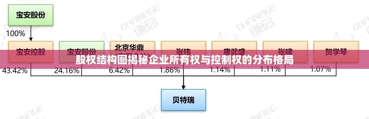 股权结构图揭秘企业所有权与控制权的分布格局  第1张