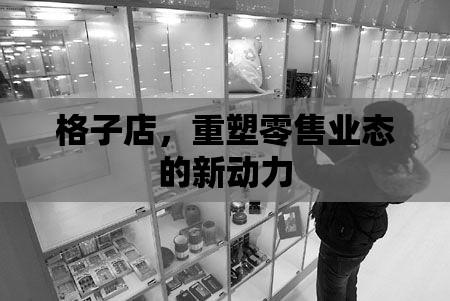 格子店，重塑零售业态的新动力  第1张