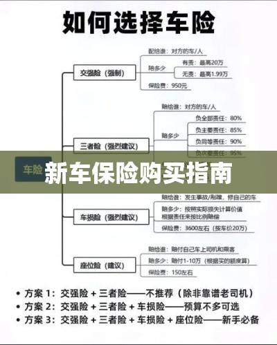 全面指南，如何购买新车保险  第1张