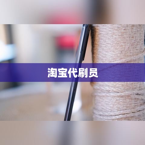 淘宝代刷员真相与风险探究  第1张