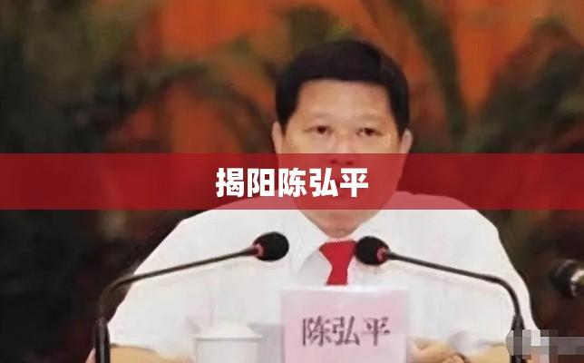 揭阳陈弘平，地方领袖的典范之旅  第1张