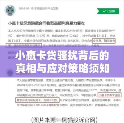 小赢卡贷骚扰背后的真相与应对策略须知  第1张