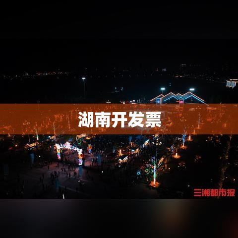 湖南开发票，历史变迁与未来发展趋势探索  第1张