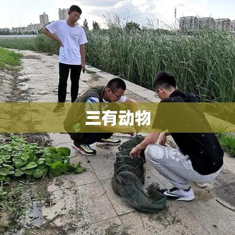 三有动物，生态多样性的丰富宝藏  第1张