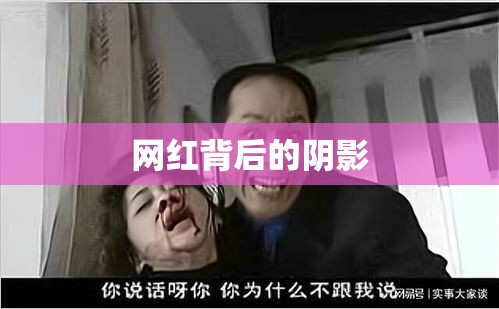 网红背后的阴影，家暴之痛揭秘  第1张