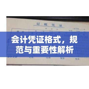 会计凭证格式，规范与重要性解析  第1张