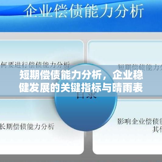 短期偿债能力分析，企业稳健发展的关键指标与晴雨表  第1张