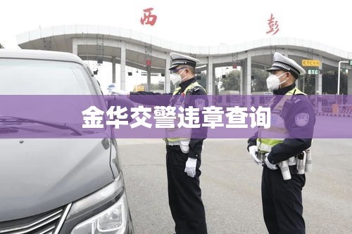 金华交警违章查询，便捷服务助力交通安全  第1张