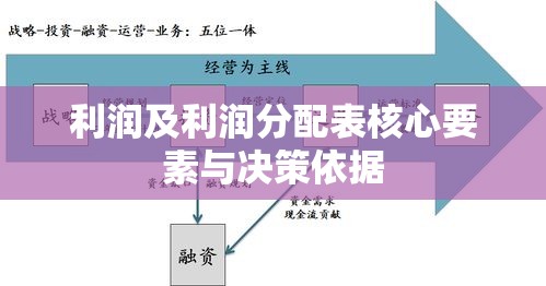 企业运营决策的关键，利润及利润分配表揭秘核心要素与决策依据  第1张