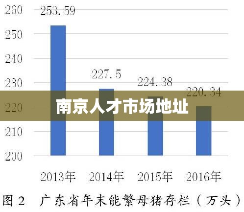 南京人才市场地址及其重要性概述  第1张