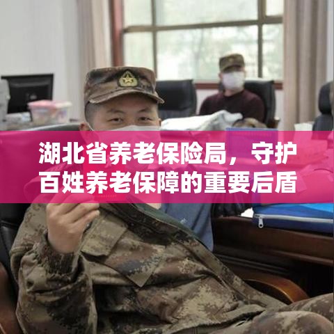 湖北省养老保险局，守护百姓养老保障的重要后盾  第1张