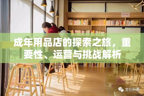 成年用品店的探索之旅，重要性、运营与挑战解析  第1张