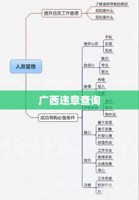 广西违章查询，便捷之路与公众意识的重要性提升  第1张