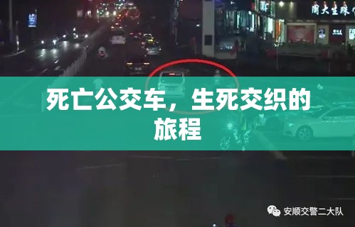 死亡公交车，生死交织的旅程  第1张