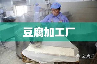 豆腐加工厂，传统工艺与现代技术的无缝融合之路  第1张