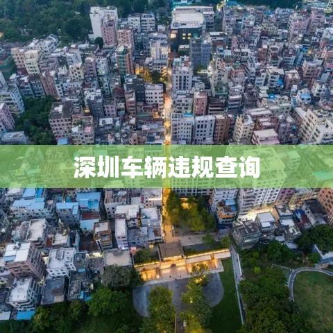 深圳车辆违规查询，便捷服务助力城市交通管理高效运行  第1张