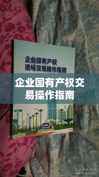 企业国有产权交易操作指南  第1张