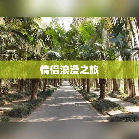 葫芦岛情侣浪漫之旅  第1张