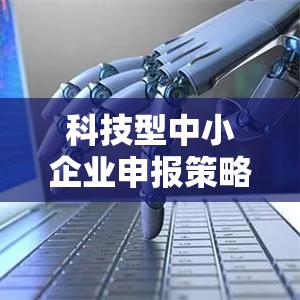 科技型中小企业申报策略与实践指南  第1张