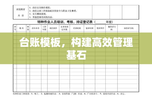 台账模板，构建高效管理基石  第1张