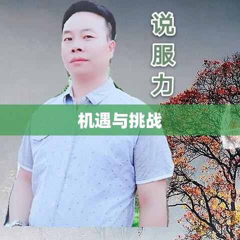 网上兼职打字员招聘，机遇与挑战的探索  第1张