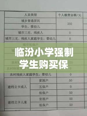 临汾小学强制学生购买保险引发问题与反思  第1张