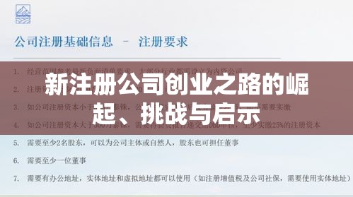 新注册公司创业之路的崛起、挑战与启示  第1张