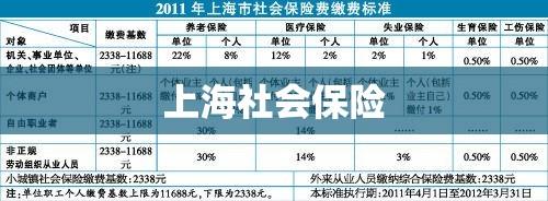 上海社会保险，构建安全稳健的社会保障网络  第1张