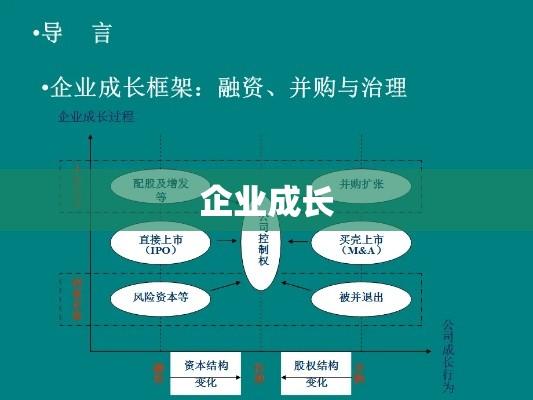 投入资本，企业成长的强大驱动力  第1张