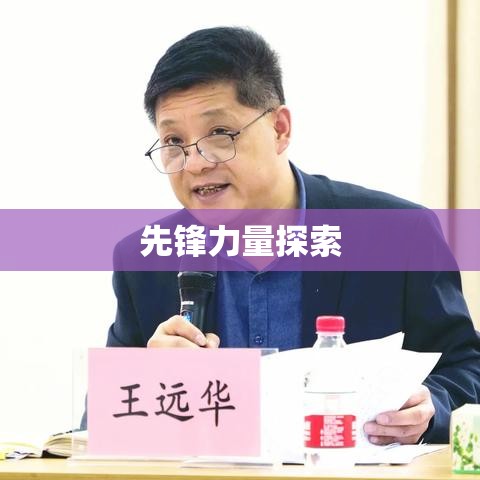 支路先行，先锋力量探索未知领域的引领之路  第1张