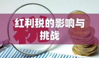 红利税的影响与挑战  第1张